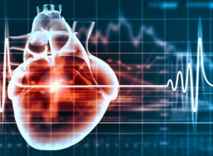 Thông tin đầy đủ về các loại rối loạn nhịp tim thường gặp